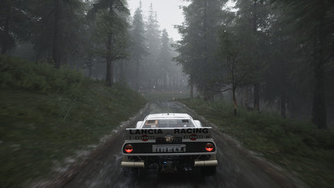https://images.2game.com/screenshot/assetto-corsa-rally-buy-cdkey-full-4.jpg