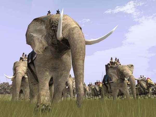 https://images.2game.com/screenshot/medieval-total-war-collection-buy-cdkey-full-3.jpg